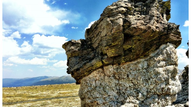 Colorado Rockies